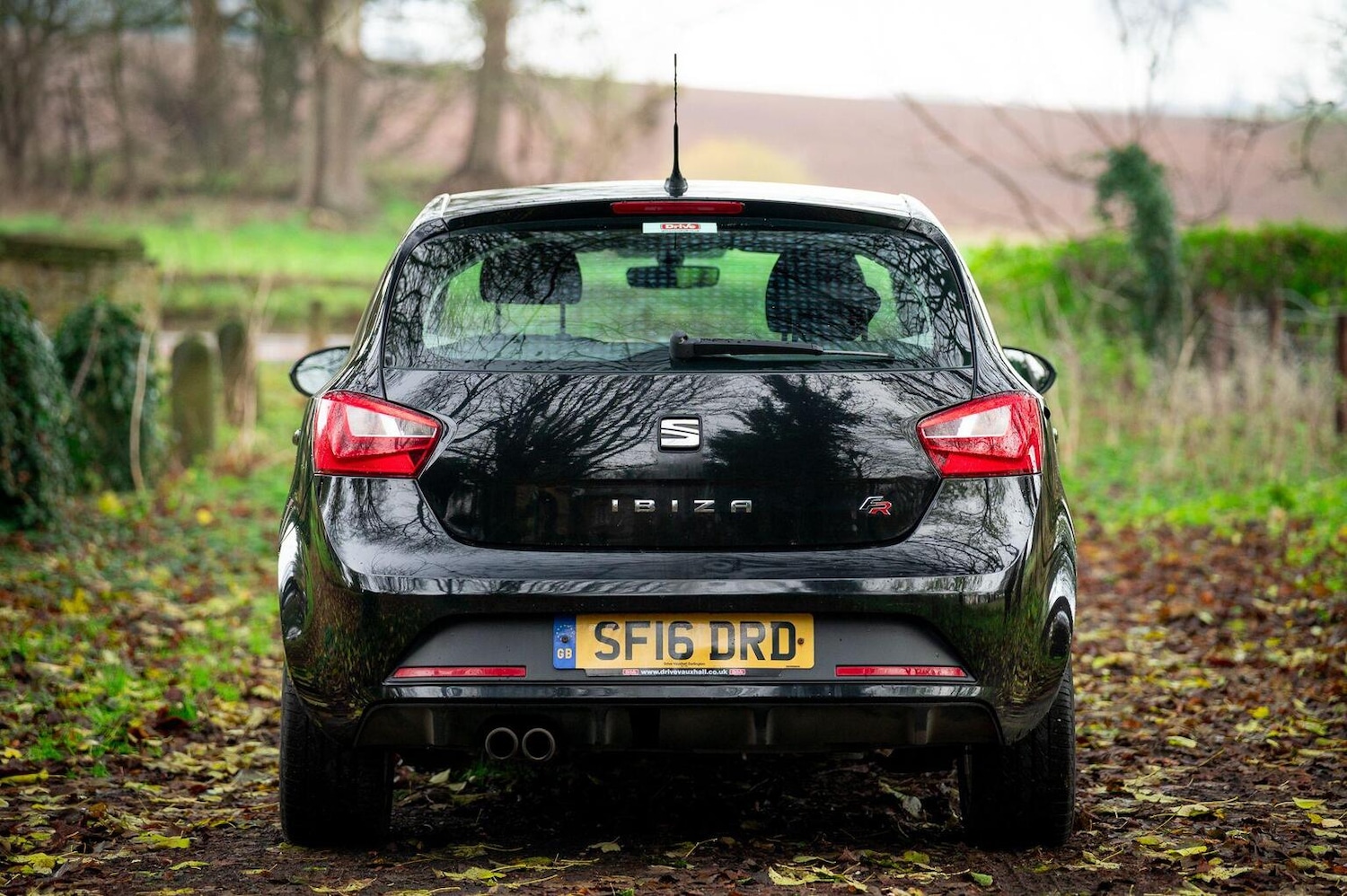 Used SEAT Ibiza 2016 for sale - 77028023: Photo 11