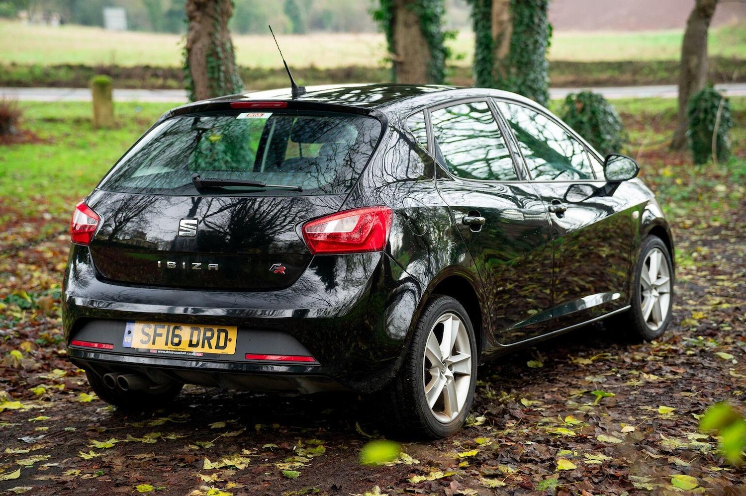 Used SEAT Ibiza 2016 for sale - 77028023: Photo 15