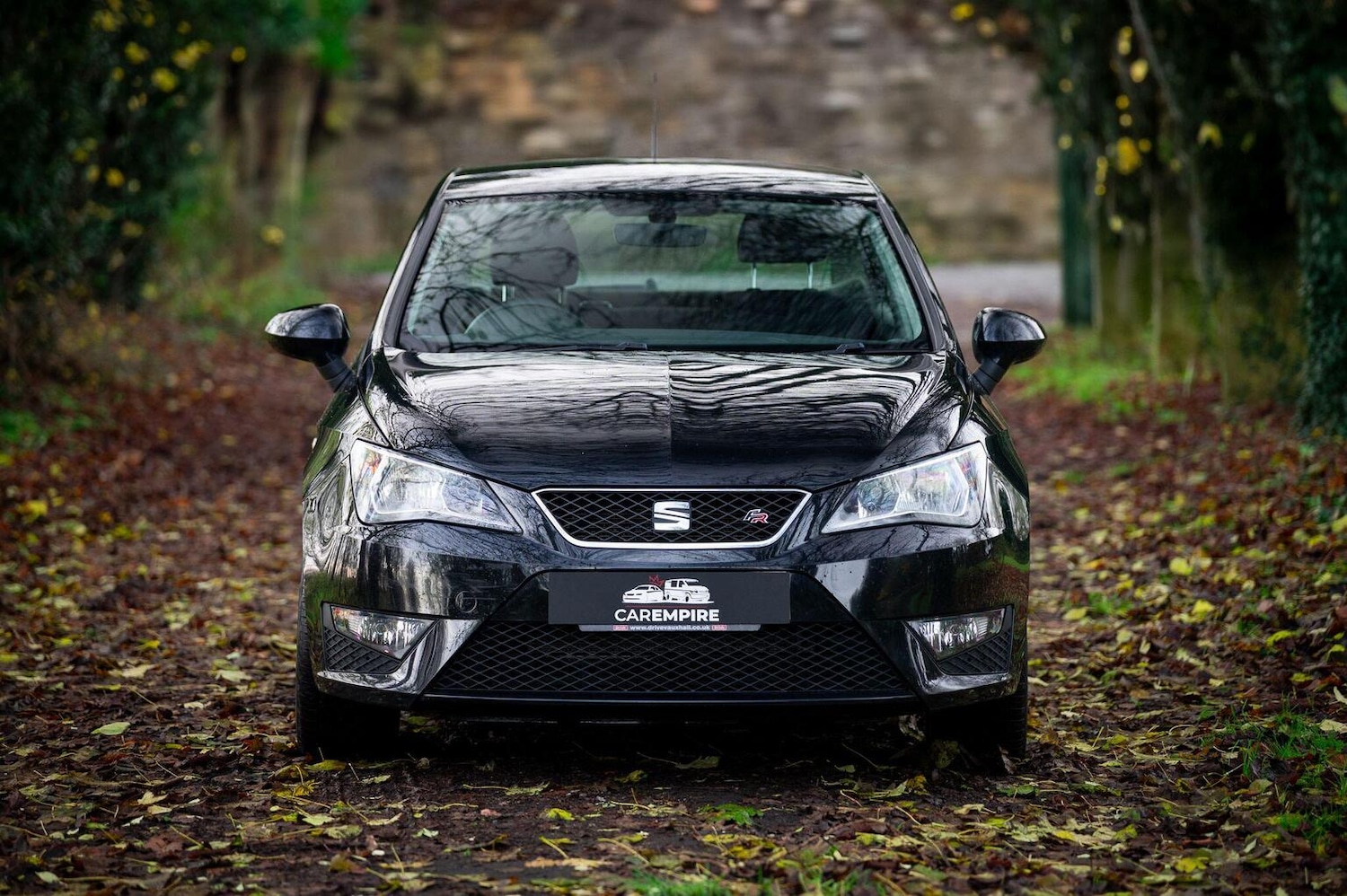 Used SEAT Ibiza 2016 for sale - 77028023: Photo 2