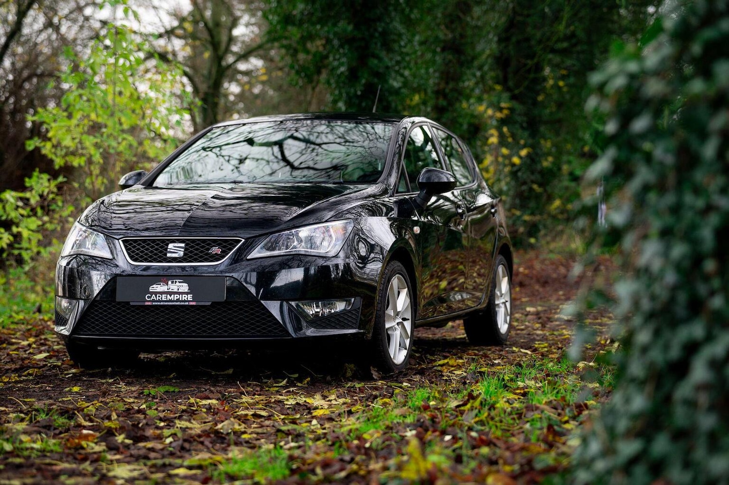 Used SEAT Ibiza 2016 for sale - 77028023: Photo 3