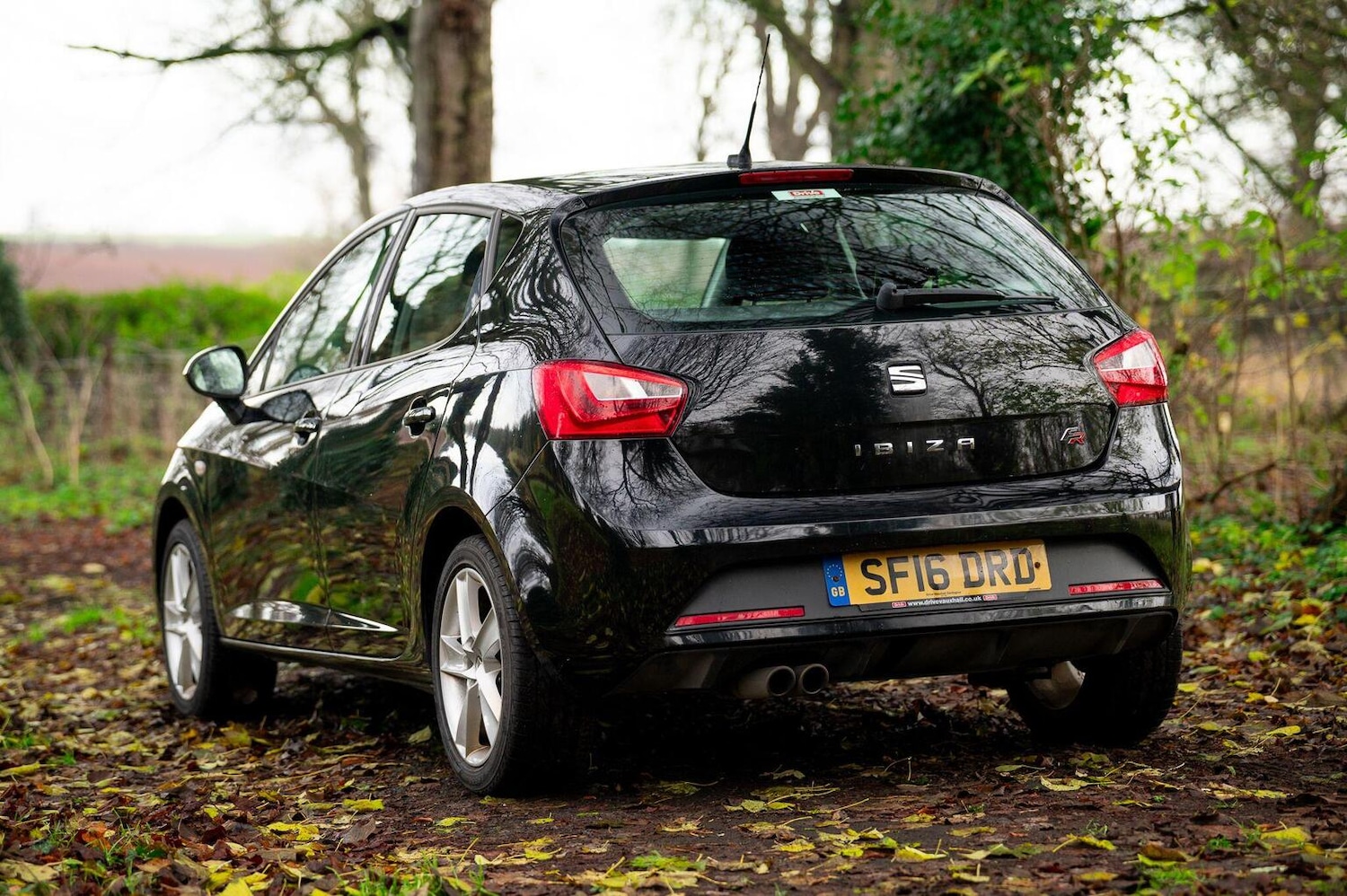 Used SEAT Ibiza 2016 for sale - 77028023: Photo 4