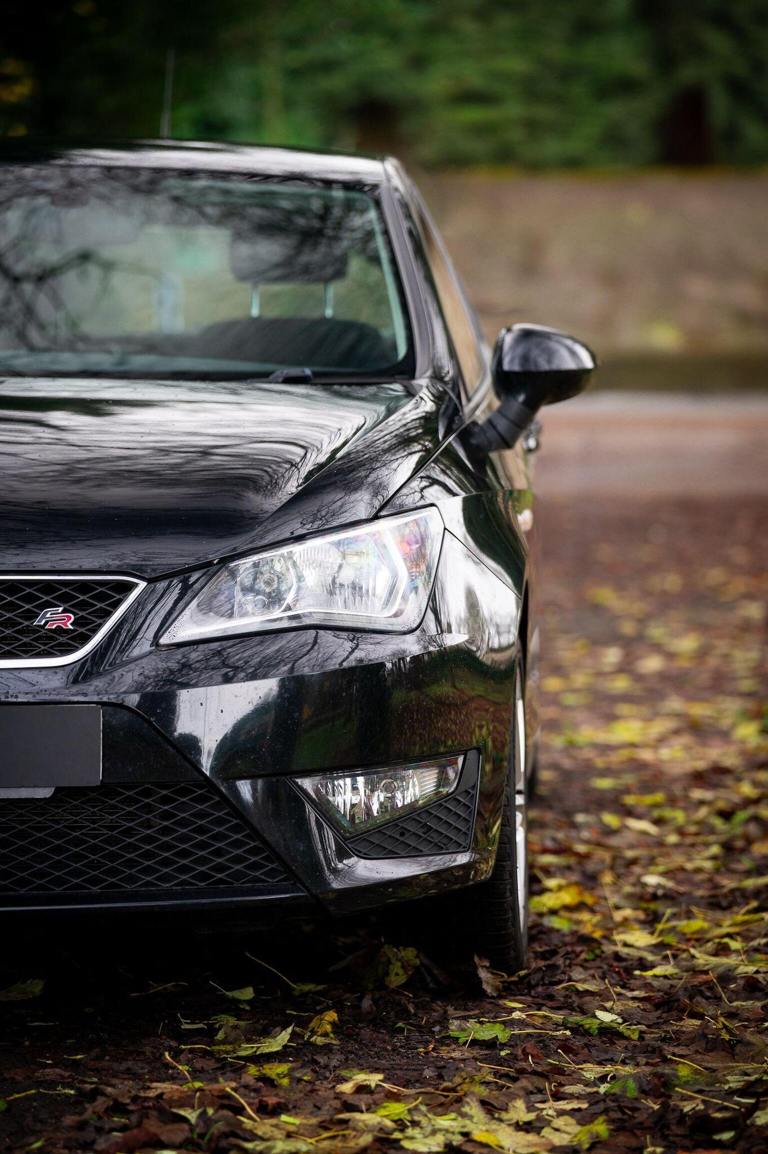 Used SEAT Ibiza 2016 for sale - 77028023: Photo 44
