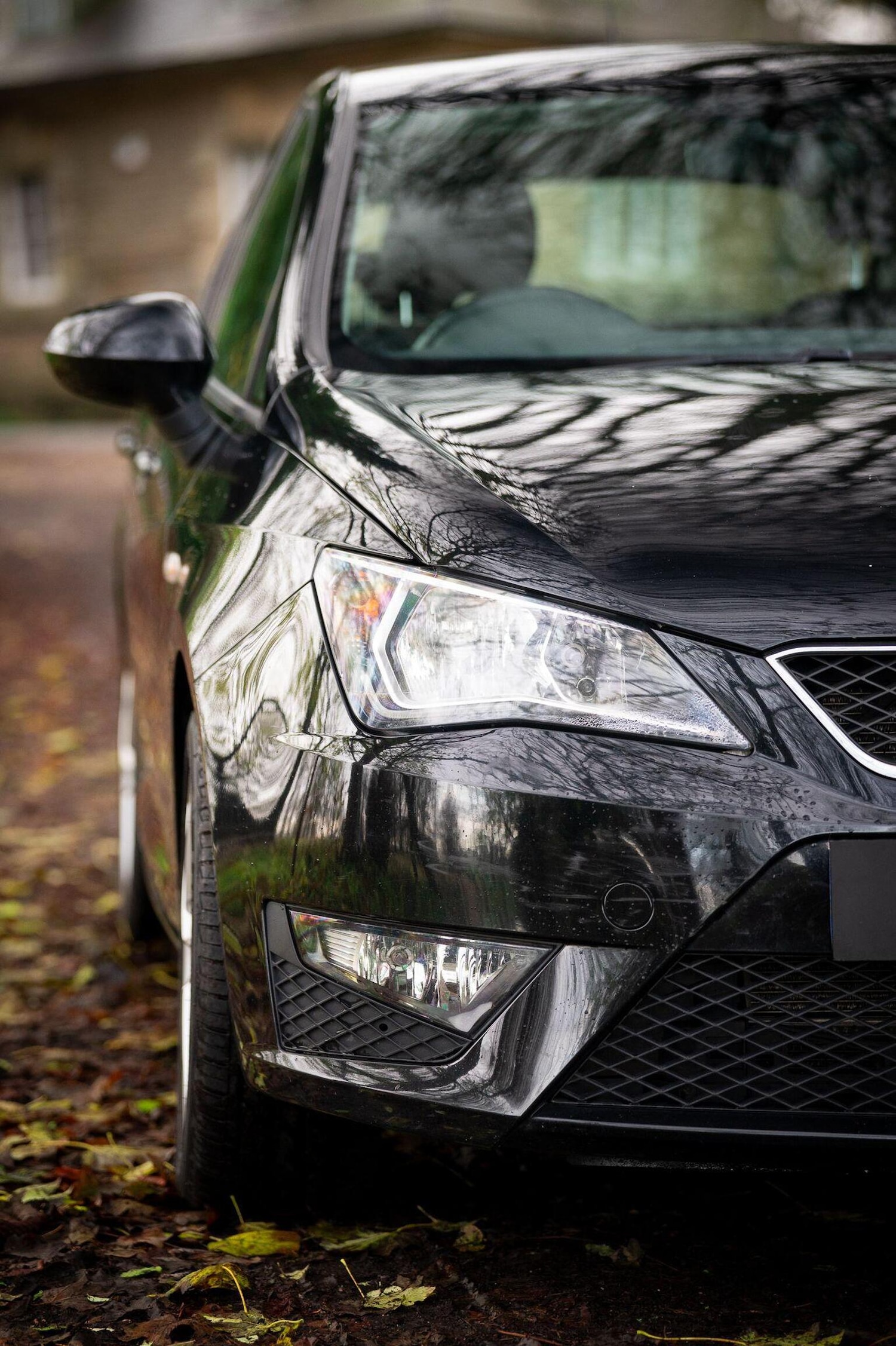 Used SEAT Ibiza 2016 for sale - 77028023: Photo 45