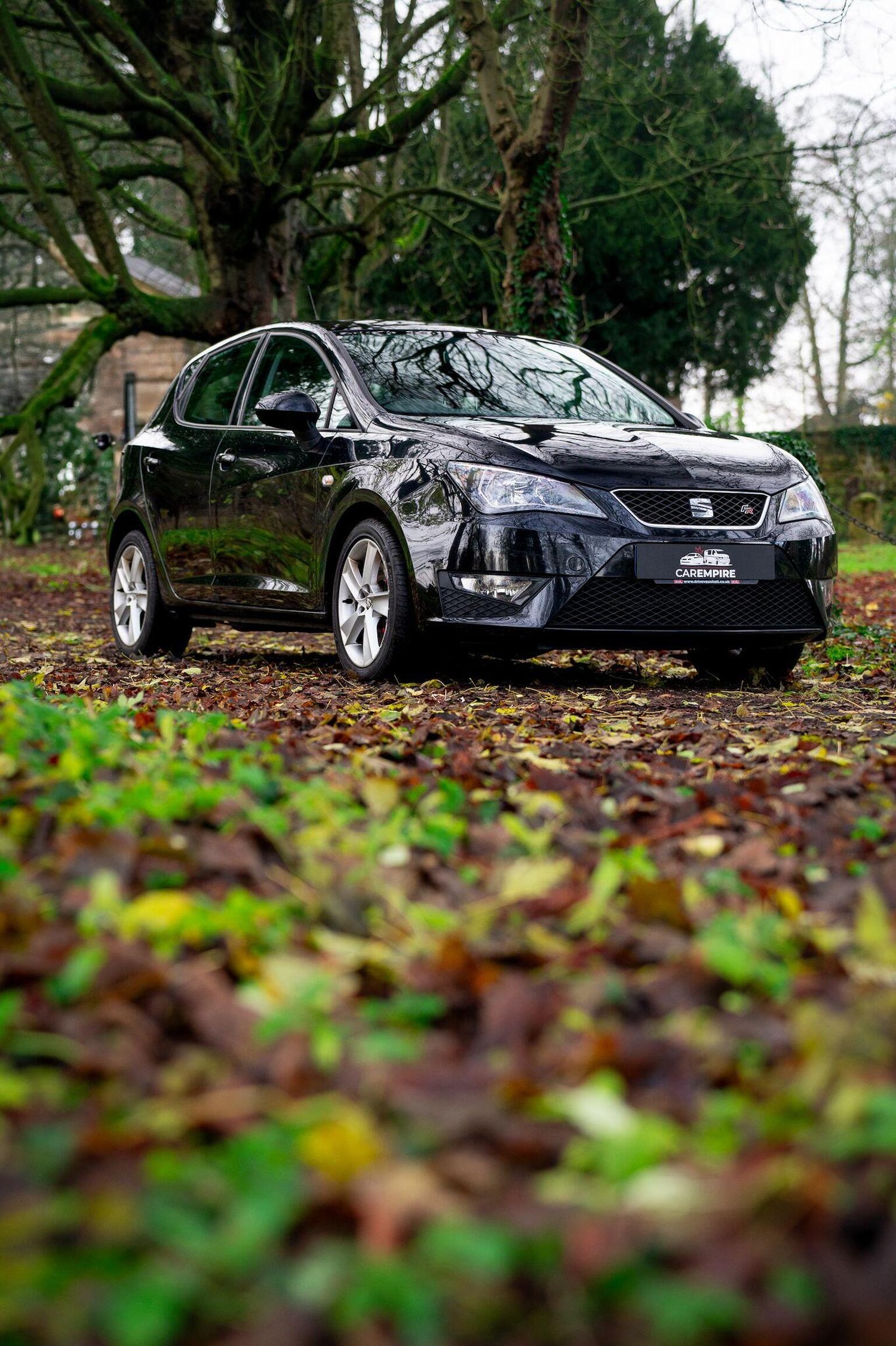 Used SEAT Ibiza 2016 for sale - 77028023: Photo 5