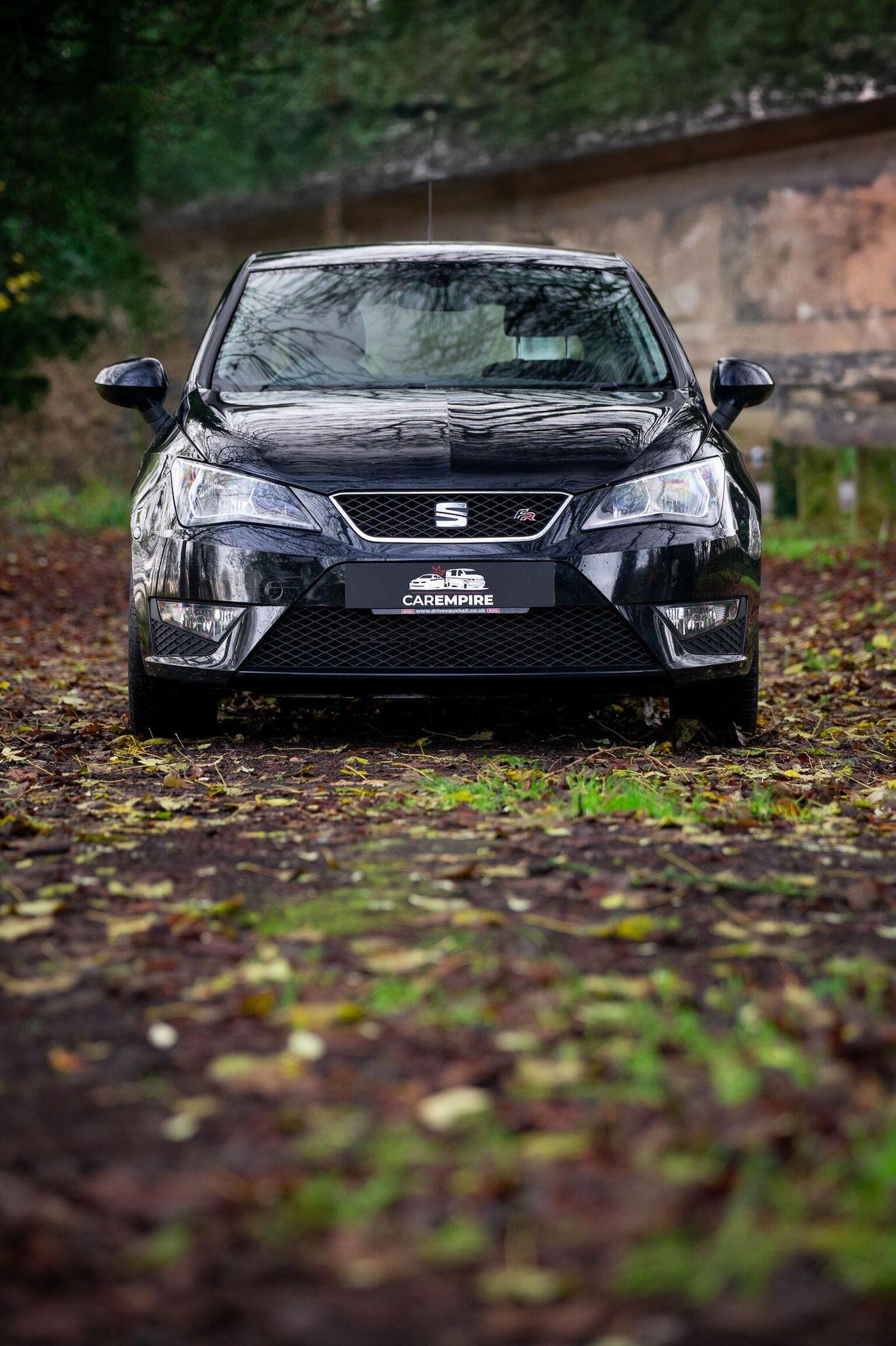 Used SEAT Ibiza 2016 for sale - 77028023: Photo 6