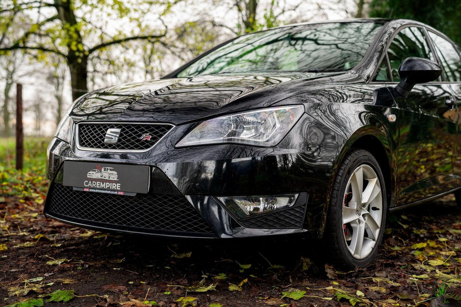 Used SEAT Ibiza 2016 for sale - 77028023: Photo 7