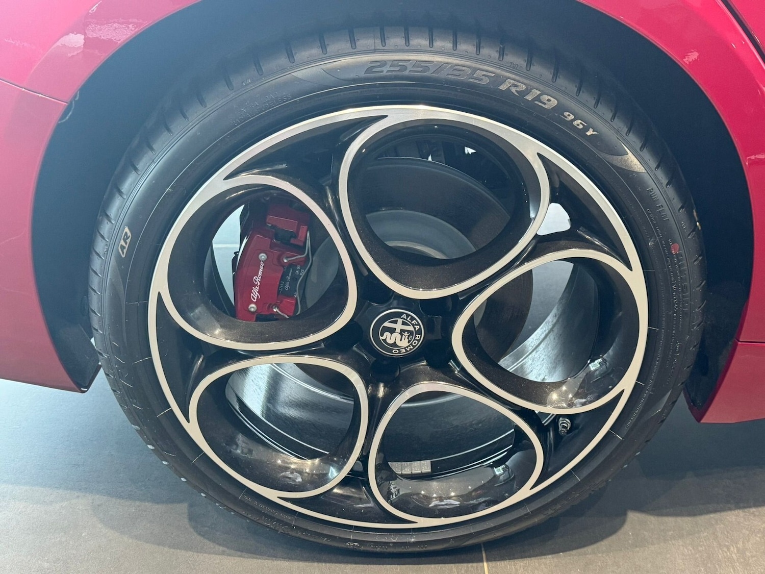 Used Alfa Romeo Giulia 2024 for sale - 76868781: Photo 10