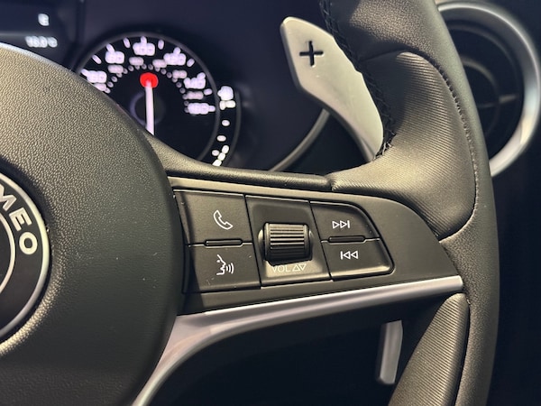 Used Alfa Romeo Stelvio 2019 for sale - 76241742: Photo 19