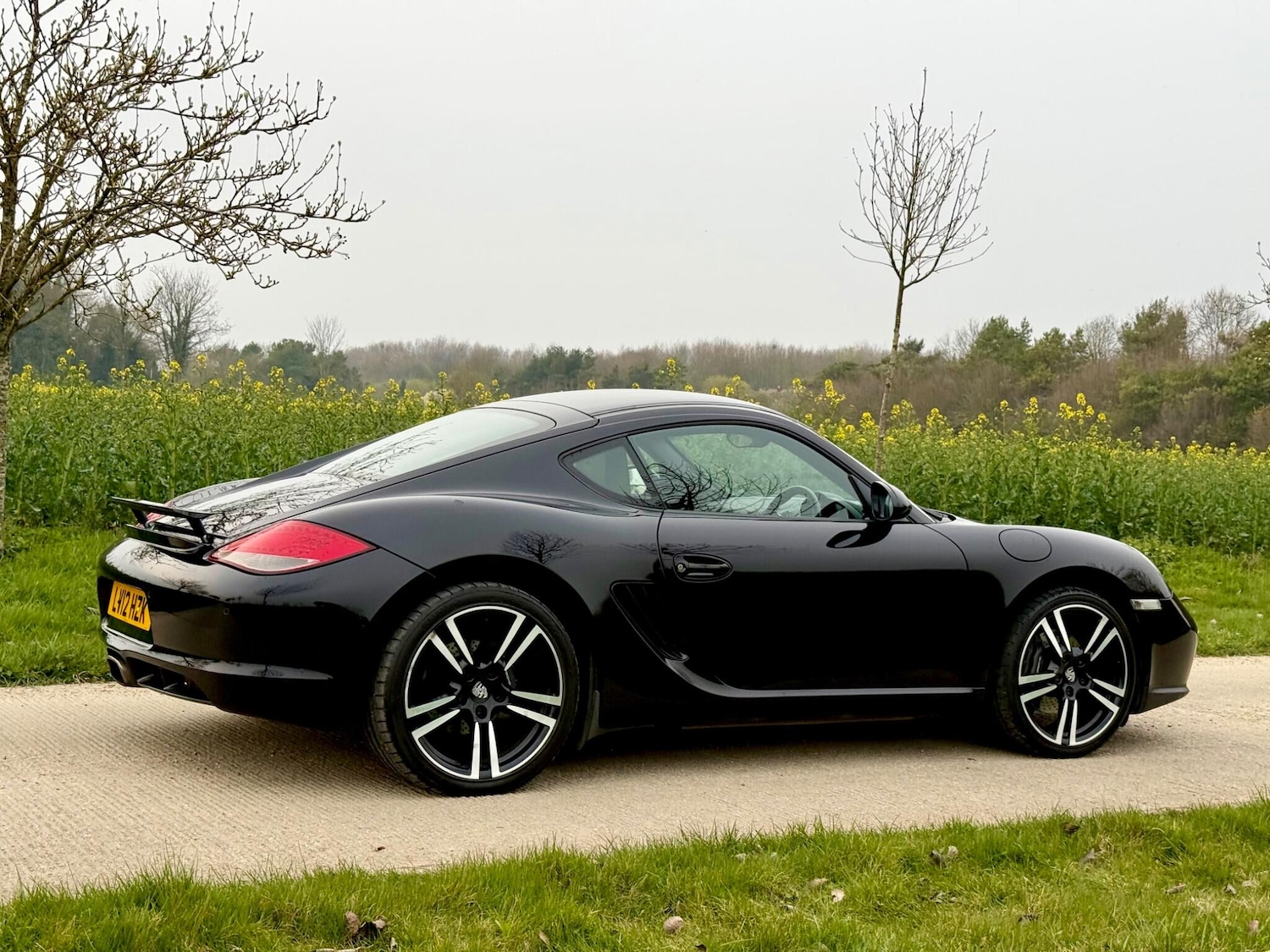 Used Porsche Cayman 2012 for sale - 77993191: Photo 14