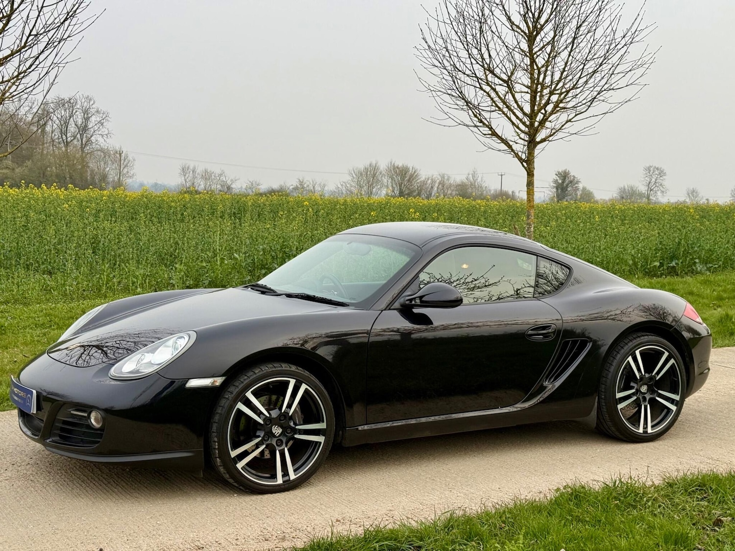 Used Porsche Cayman 2012 for sale - 77993191: Photo 4