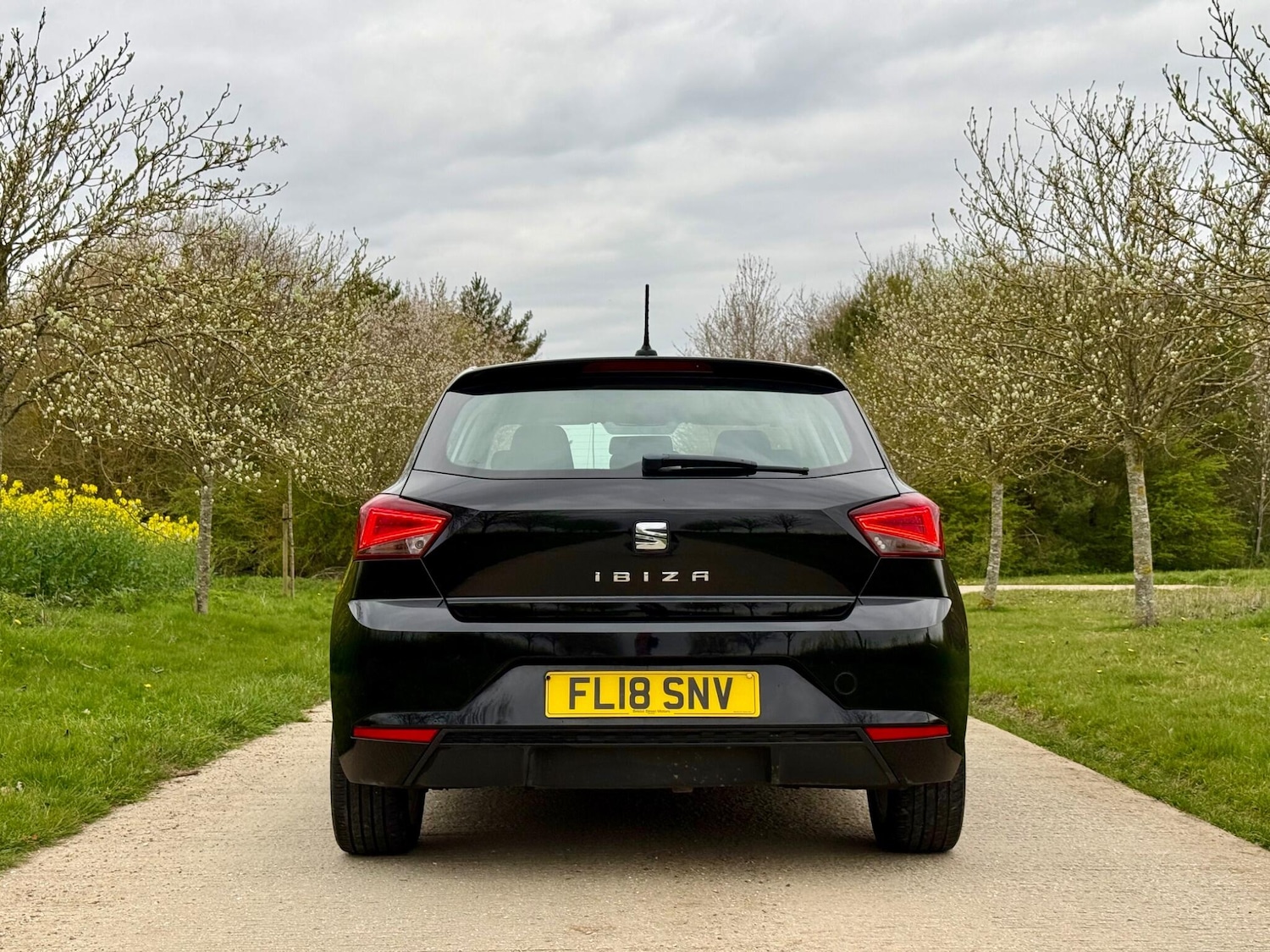 Used SEAT Ibiza 2018 for sale - 78099830: Photo 9