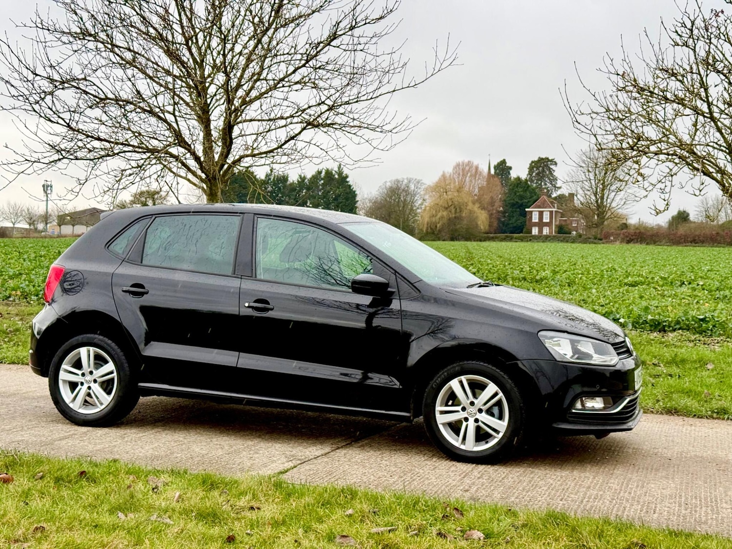 Used Volkswagen Polo 2016 for sale - 77612501: Photo 3