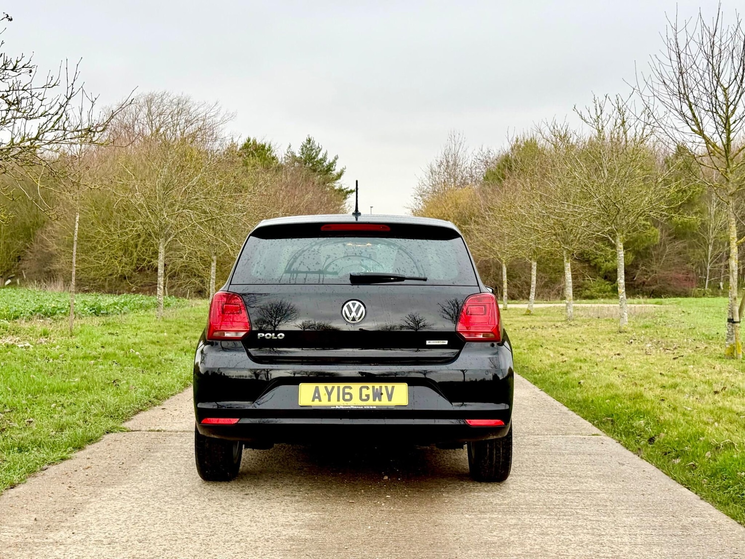Used Volkswagen Polo 2016 for sale - 77612501: Photo 5