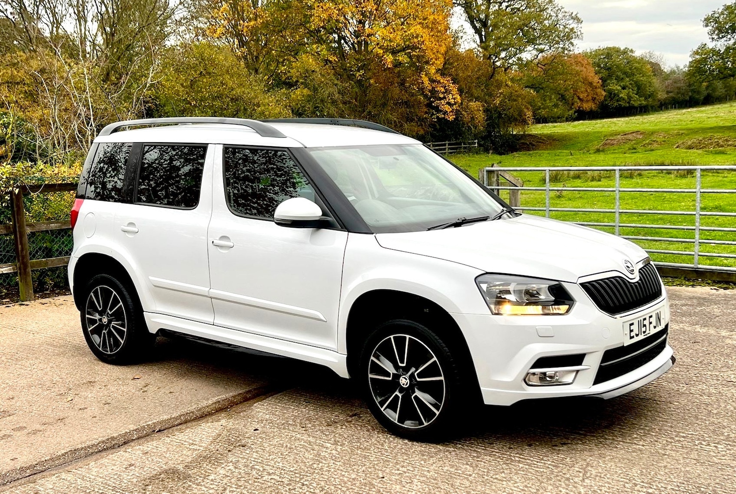 Used Skoda Yeti 2015 for sale - 76480162: Photo 1