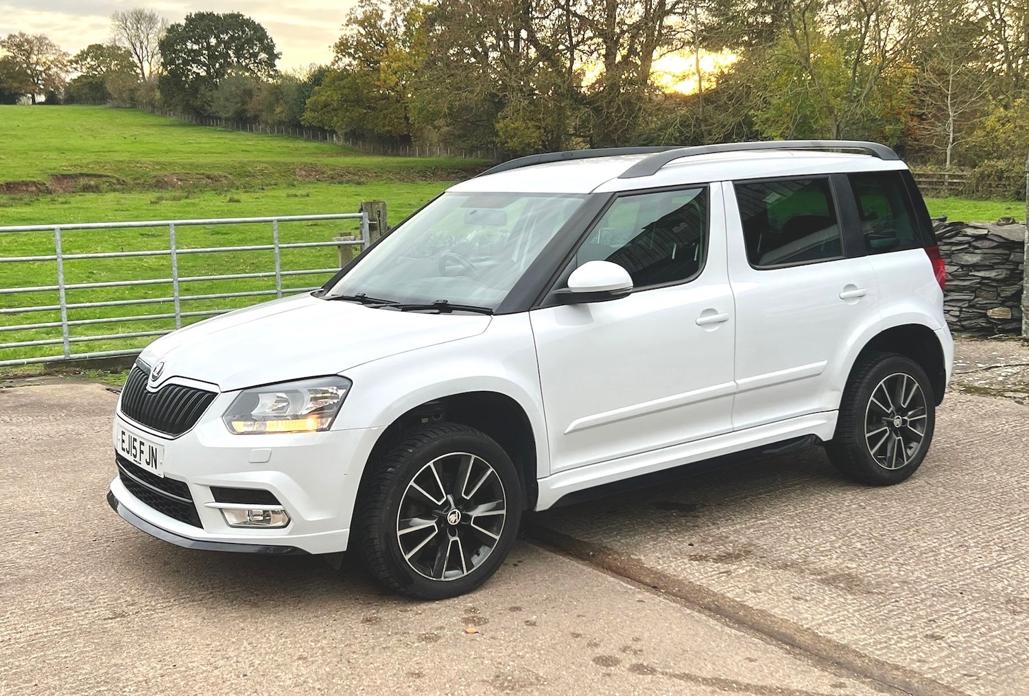 Used Skoda Yeti 2015 for sale - 76480162: Photo 31