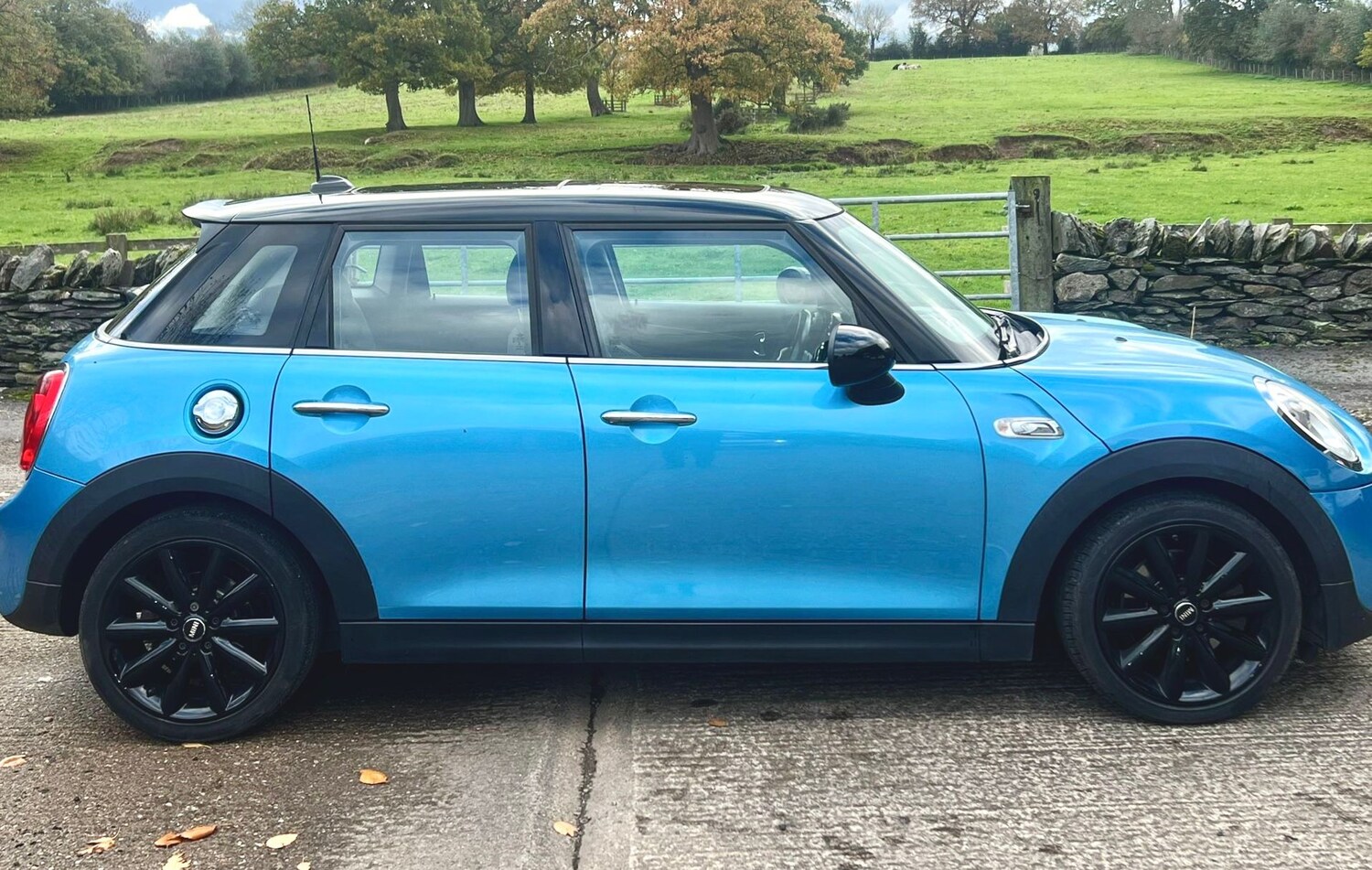 Used MINI Hatch 2016 for sale - 76519514: Photo 37