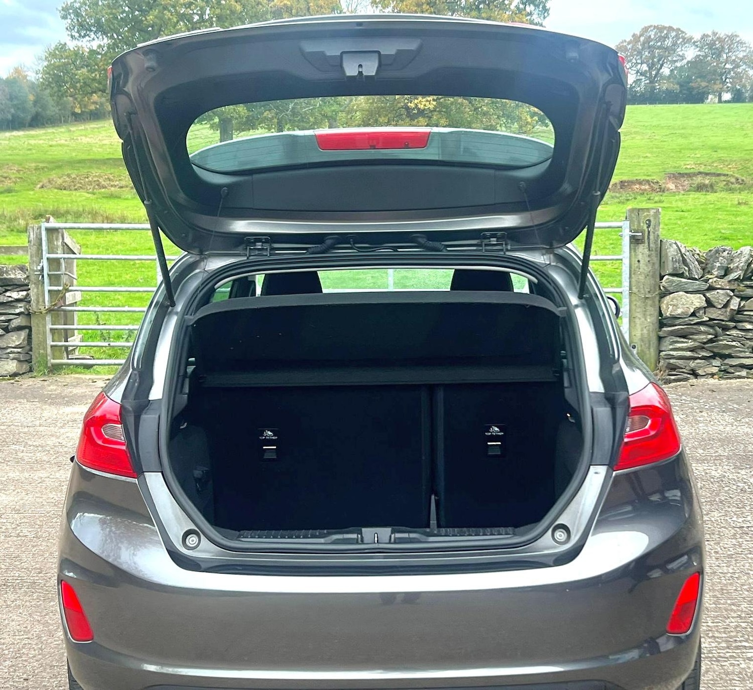 Used Ford Fiesta 2017 for sale - 76466073: Photo 15