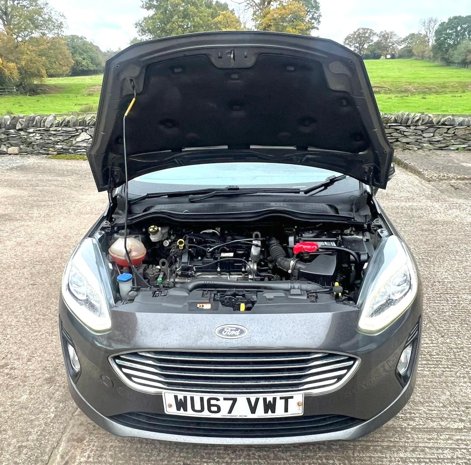 Used Ford Fiesta 2017 for sale - 76466073: Photo 19