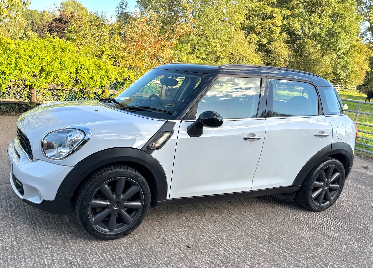 Used MINI Countryman 2013 for sale - 76392430: Photo 13