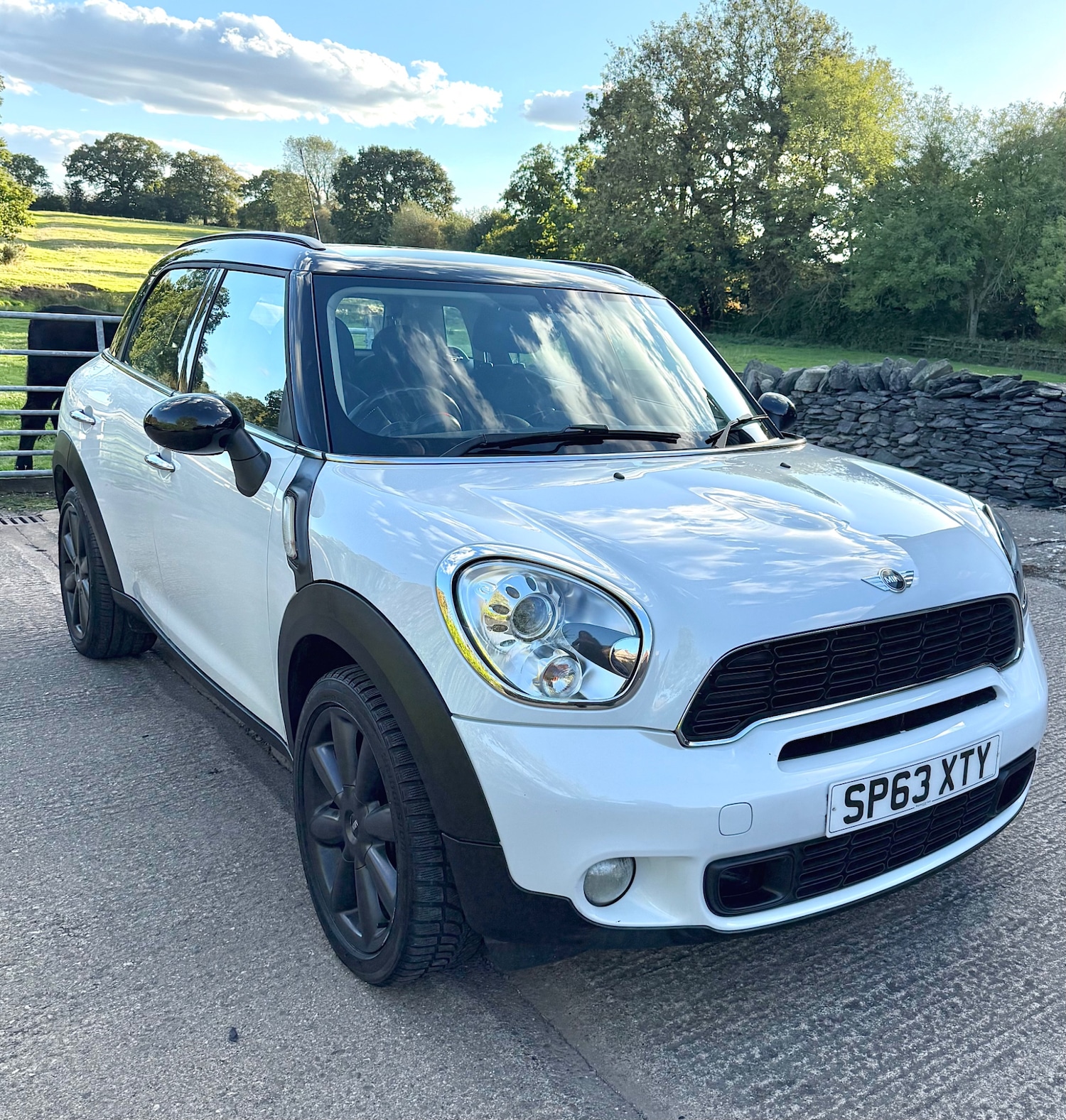 Used MINI Countryman 2013 for sale - 76392430: Photo 14