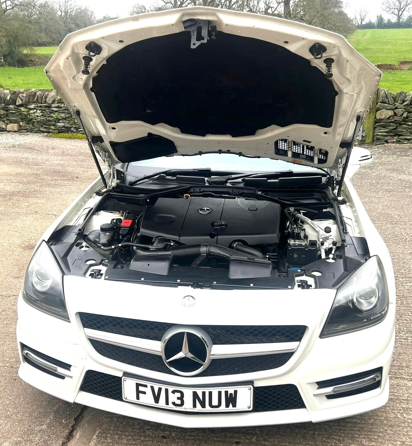 Used Mercedes-Benz SLK 2013 for sale - 77483088: Photo 16