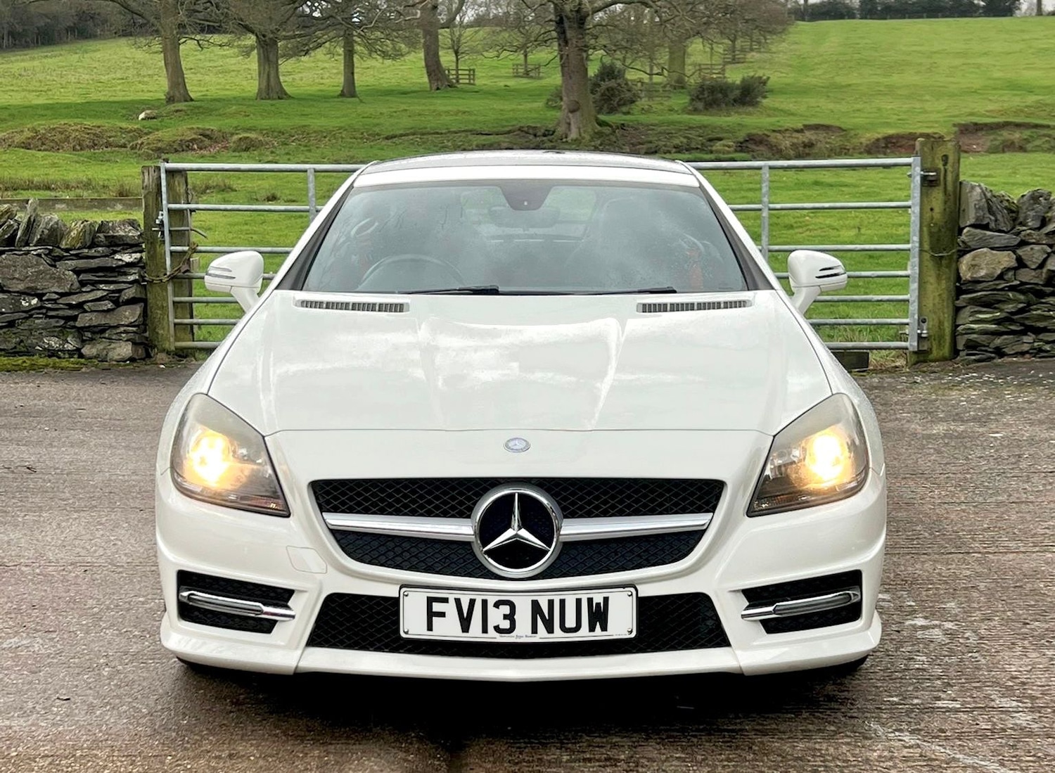Used Mercedes-Benz SLK 2013 for sale - 77483088: Photo 5