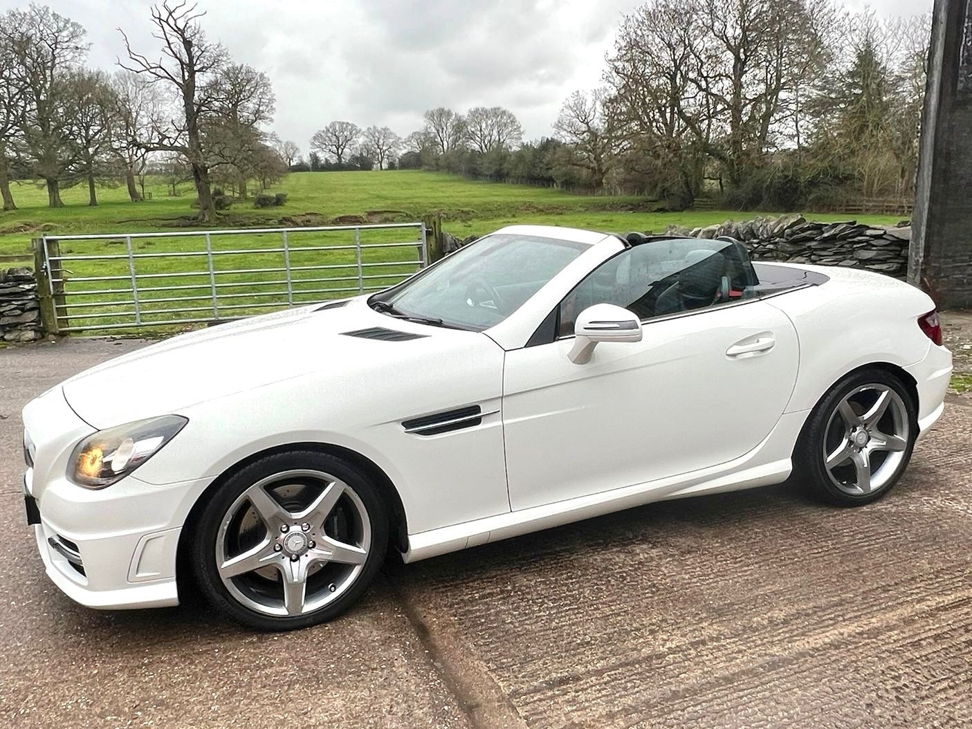 Used Mercedes-Benz SLK 2013 for sale - 77483088: Photo 7
