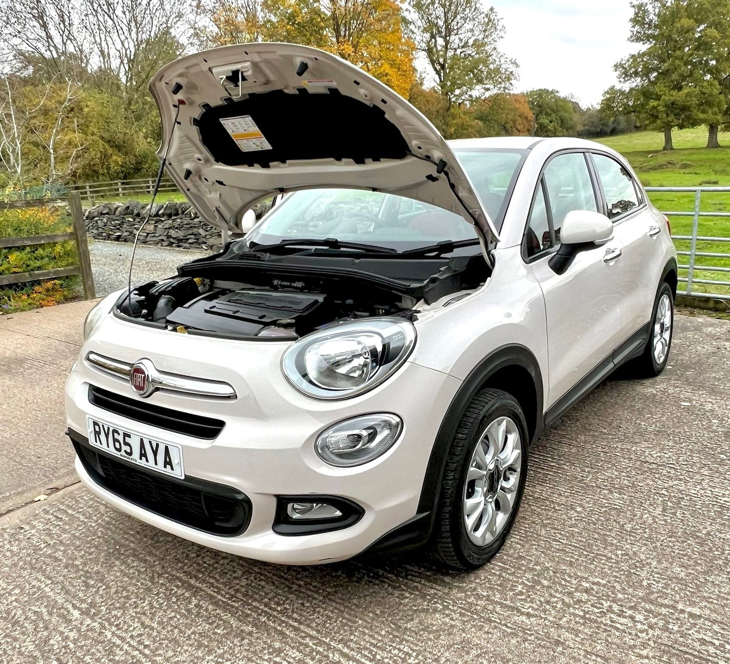 Used Fiat 500X 2016 for sale - 76452305: Photo 10