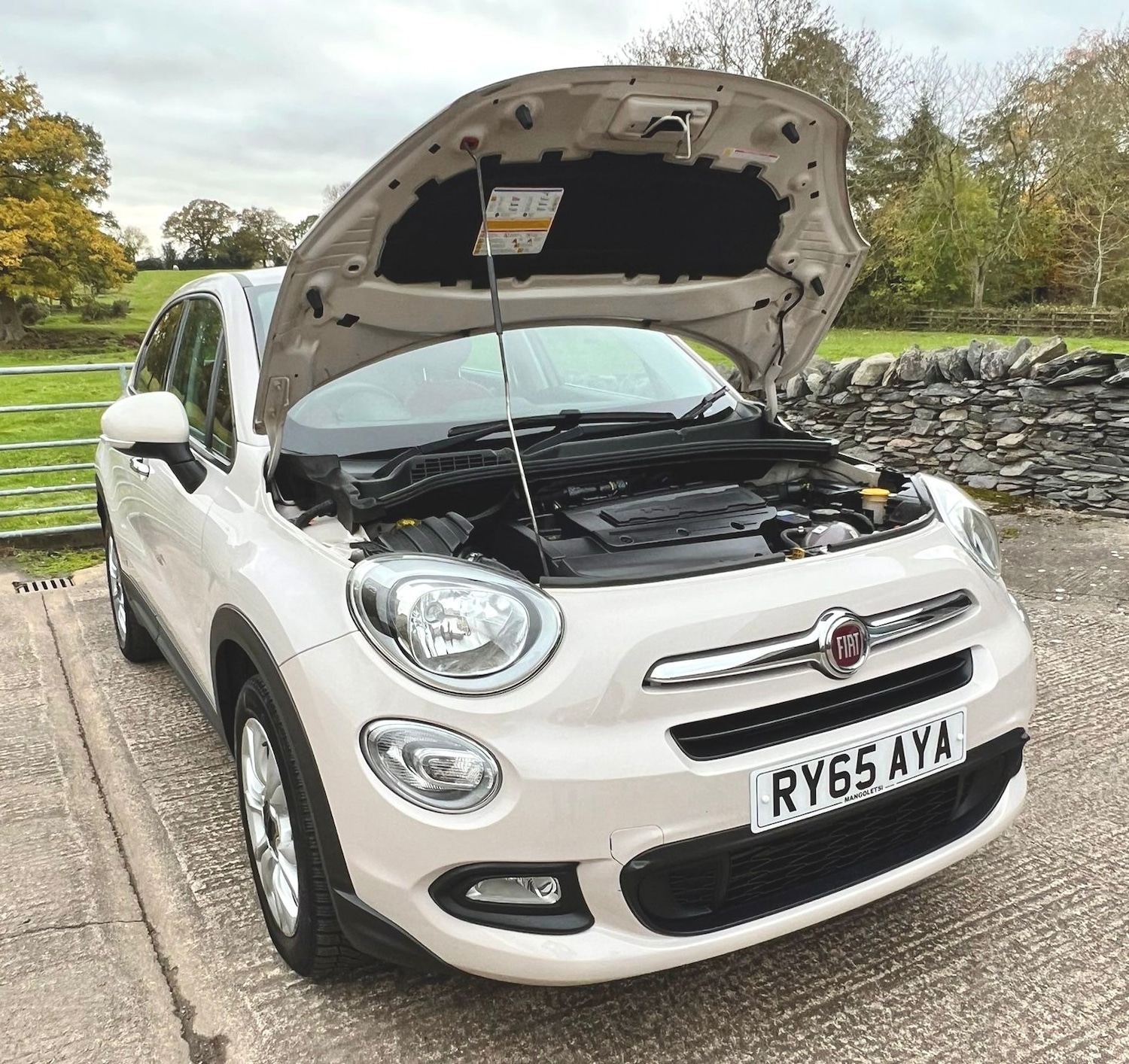 Used Fiat 500X 2016 for sale - 76452305: Photo 11