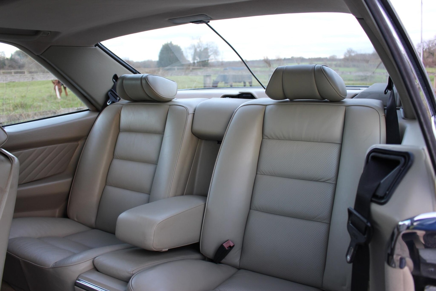 Used Mercedes-Benz 560 for sale - 76913953: Photo 42