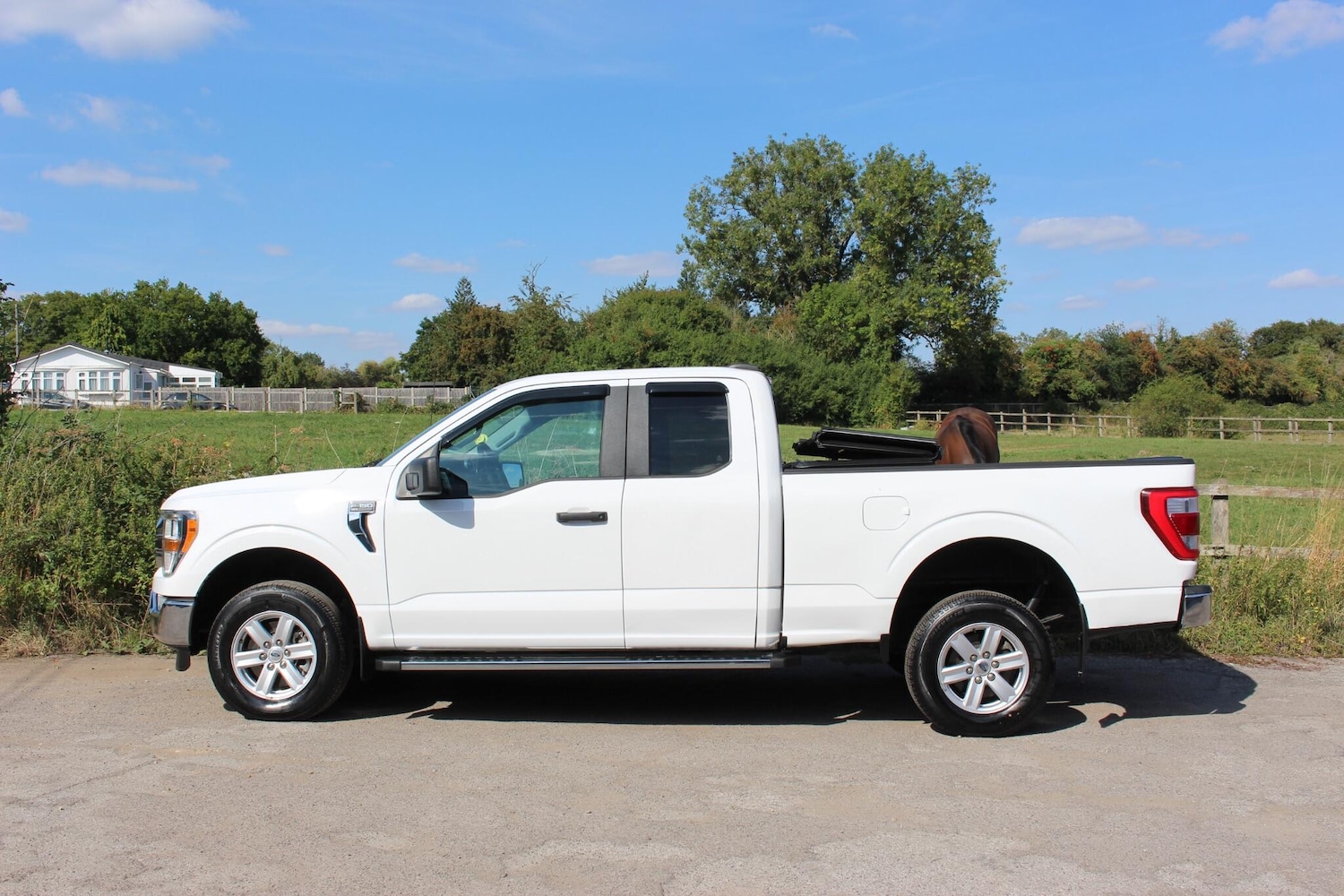 Used Ford F150 2023 for sale - 76326808: Photo 13