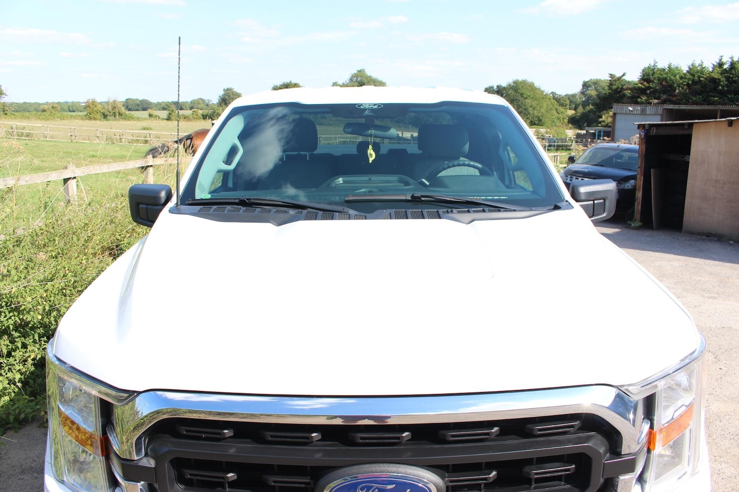 Used Ford F150 2023 for sale - 76326808: Photo 34