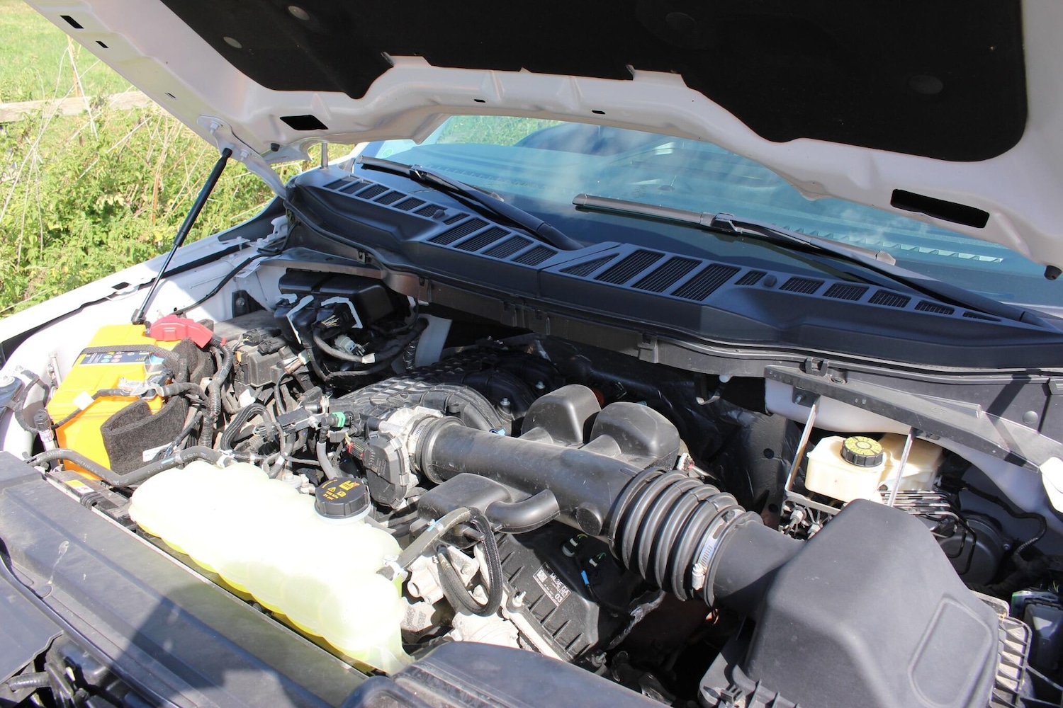 Used Ford F150 2023 for sale - 76326808: Photo 39