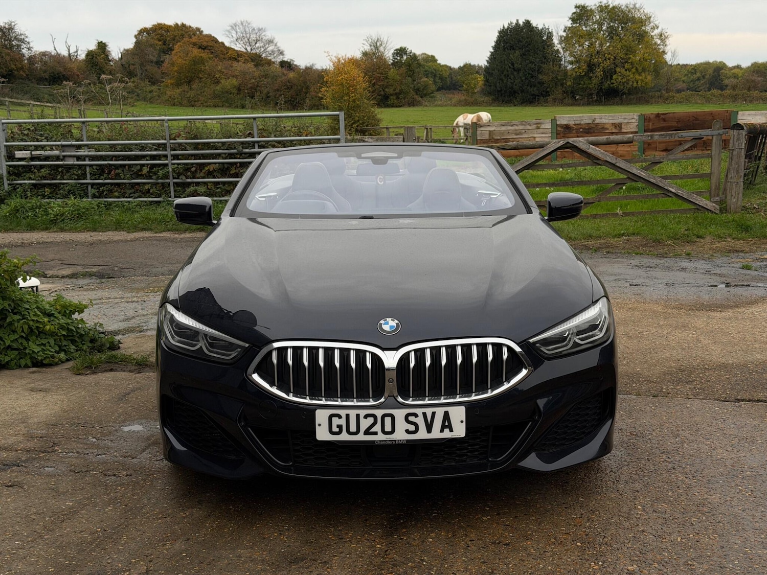 Used BMW 8 Series 2020 for sale - 76314846: Photo 16