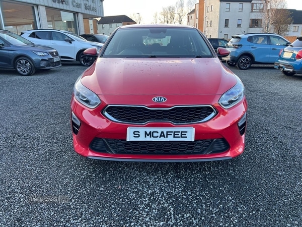 Used Kia Ceed 2019 for sale - 77052554: Photo 3