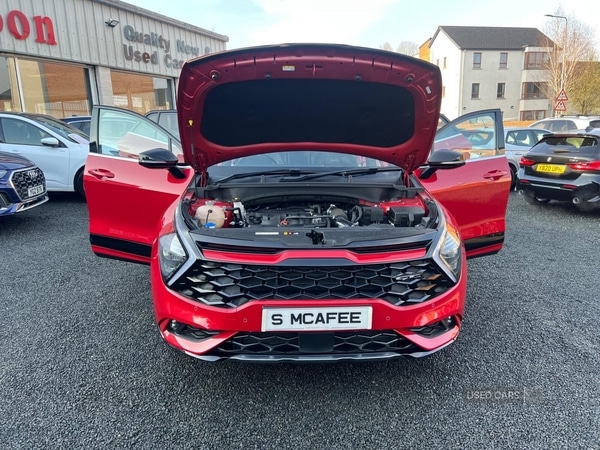 Used Kia Sportage 2024 for sale - 77982800: Photo 6