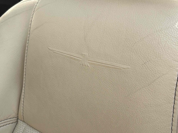 Used Ford Thunderbird 2021 for sale - 75823503: Photo 45