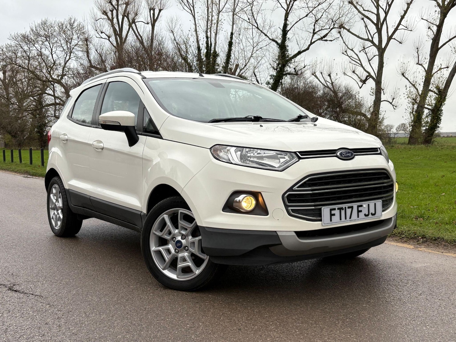 Used Ford Ecosport 2017 for sale - 76685528: Photo 1