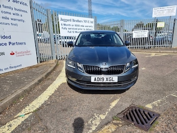 Used Skoda Octavia 2019 for sale - 75570617: Photo