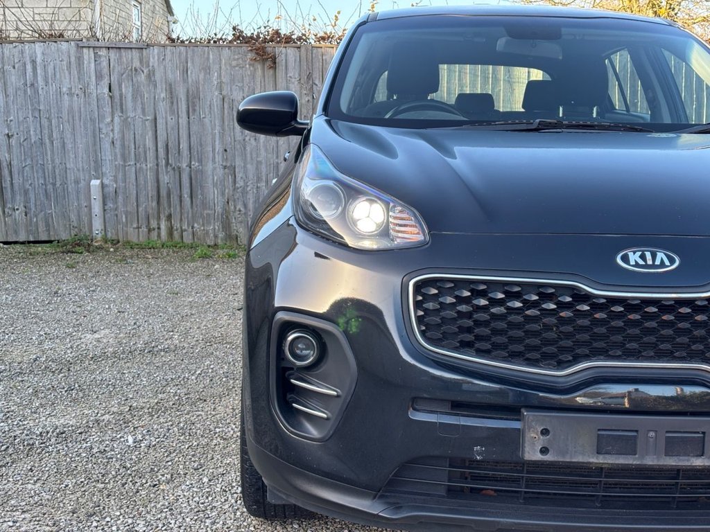 Used Kia Sportage 2016 for sale - 77065121: Photo 11