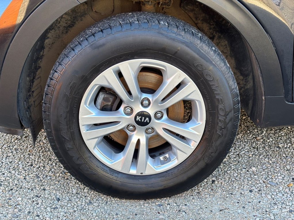 Used Kia Sportage 2016 for sale - 77065121: Photo 19