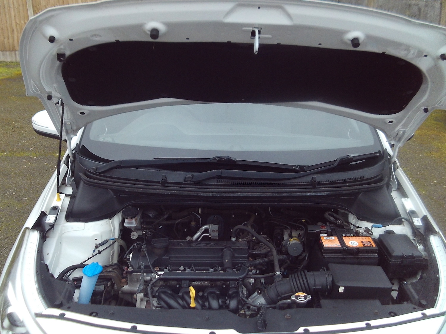 Used Hyundai i20 2017 for sale - 77802697: Photo 25