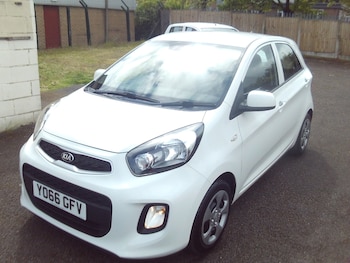 Used Kia Picanto 2017 for sale - 78554365: Photo