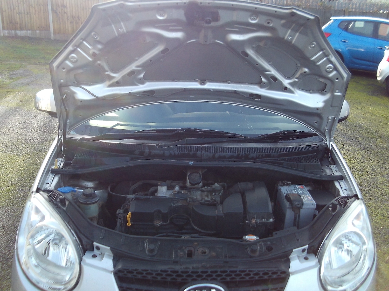 Used Kia Picanto 2009 for sale - 76957488: Photo 16