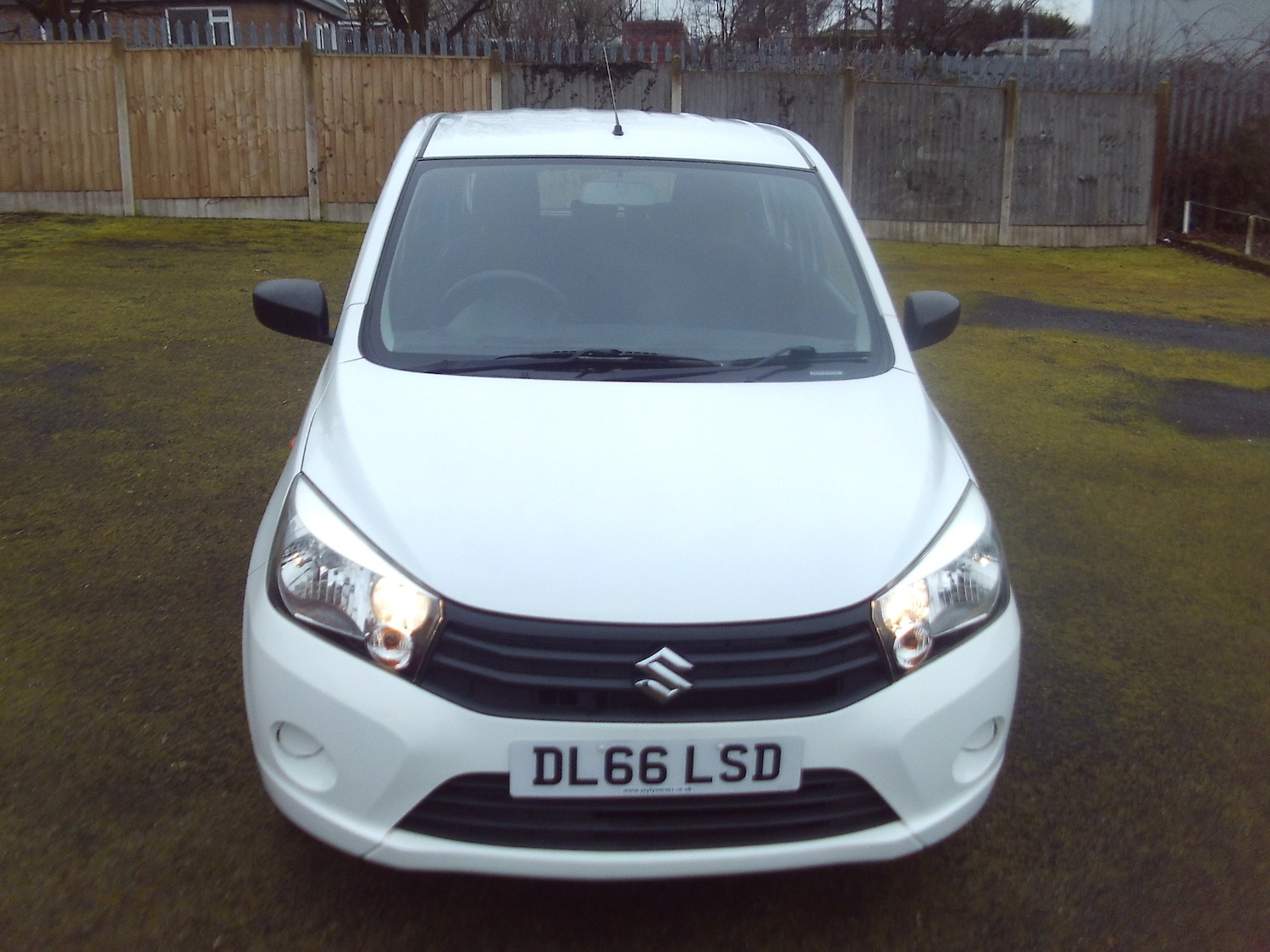 Used Suzuki Celerio 2016 for sale - 77775256: Photo 2