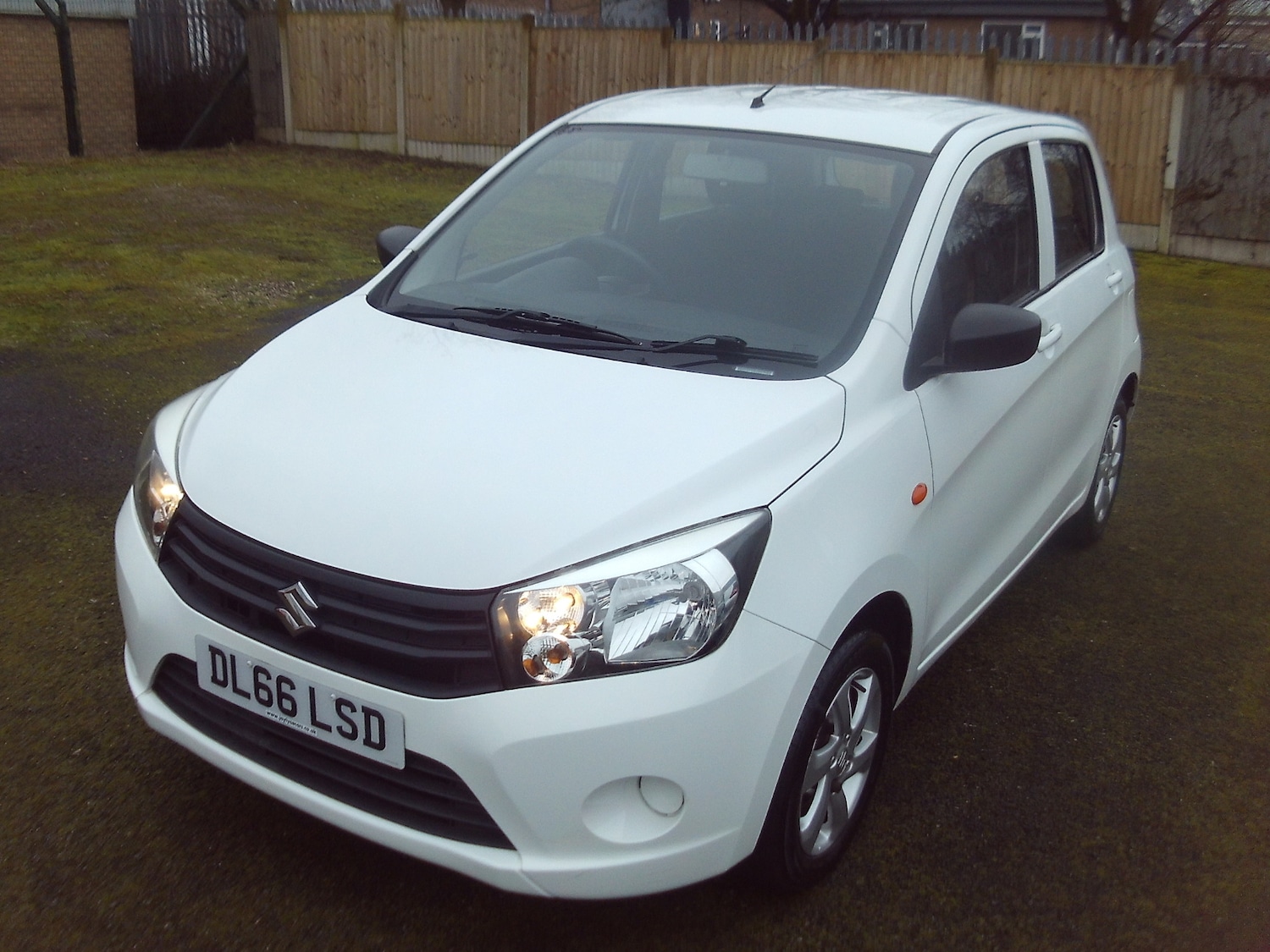 Used Suzuki Celerio 2016 for sale - 77775256: Photo 3