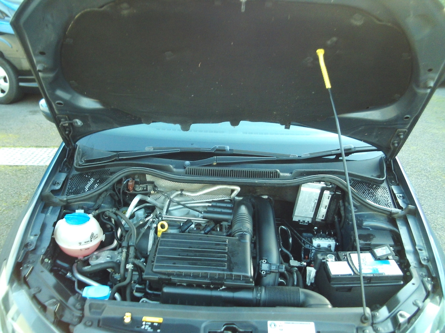 Used Volkswagen Polo 2016 for sale - 76401848: Photo 25