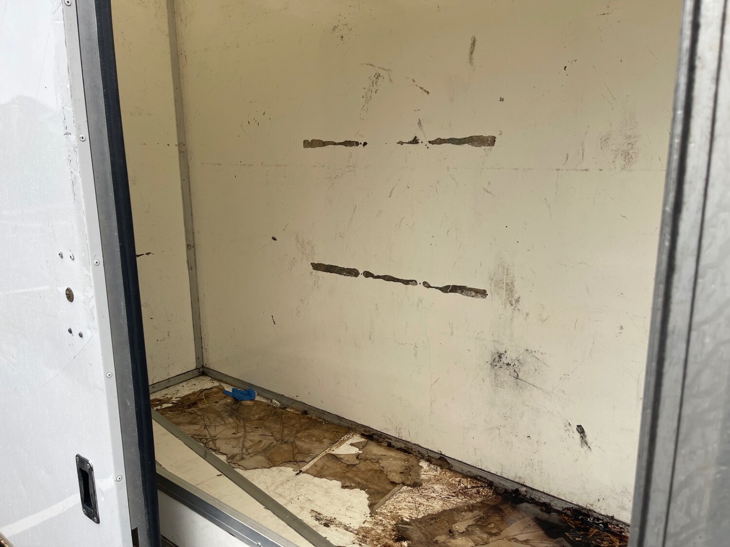 Used Vauxhall Movano 2020 for sale - 76316716: Photo 9