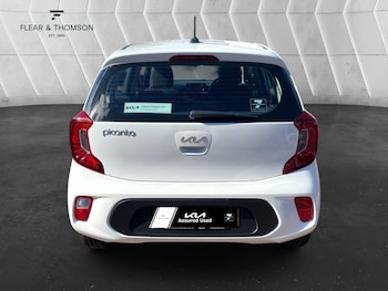 Used Kia Picanto 2023 for sale - 79071246: Photo