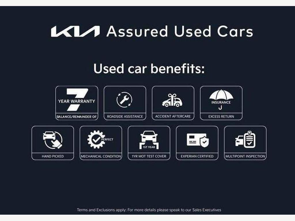 Used Kia Picanto 2023 for sale - 77453444: Photo 3